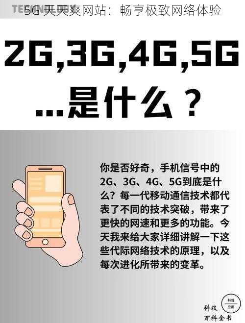 5G 天天爽网站：畅享极致网络体验